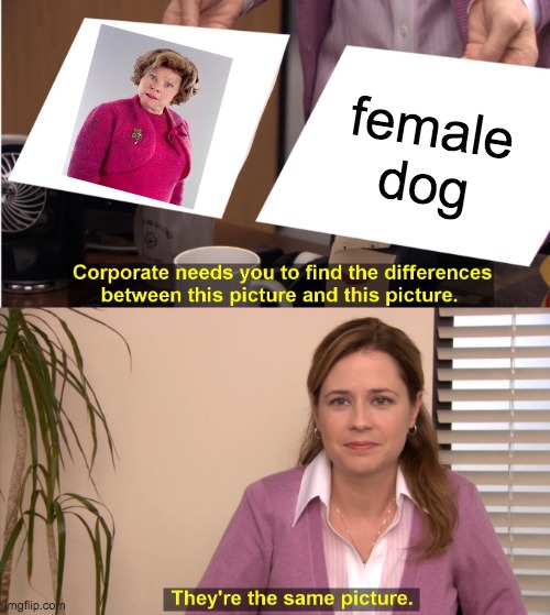 feMaLE DOg | female dog | image tagged in memes,they're the same picture | made w/ Imgflip meme maker