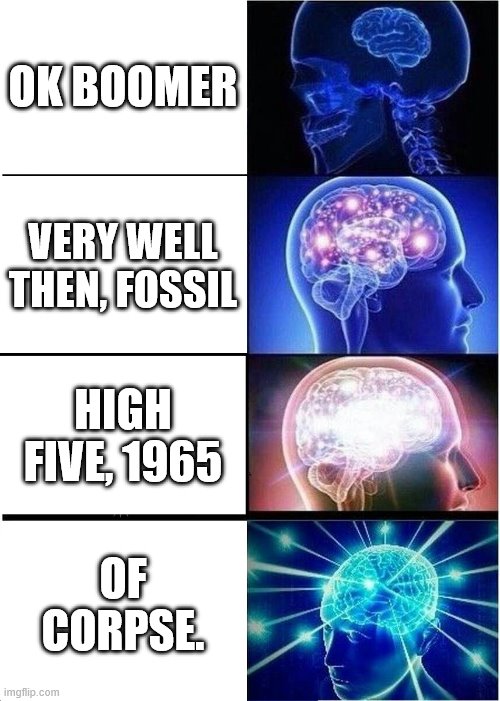 Expanding Brain Meme | OK BOOMER; VERY WELL THEN, FOSSIL; HIGH FIVE, 1965; OF CORPSE. | image tagged in memes,expanding brain | made w/ Imgflip meme maker