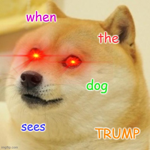 Doge Meme | when; the; dog; sees; TRUMP | image tagged in memes,doge | made w/ Imgflip meme maker