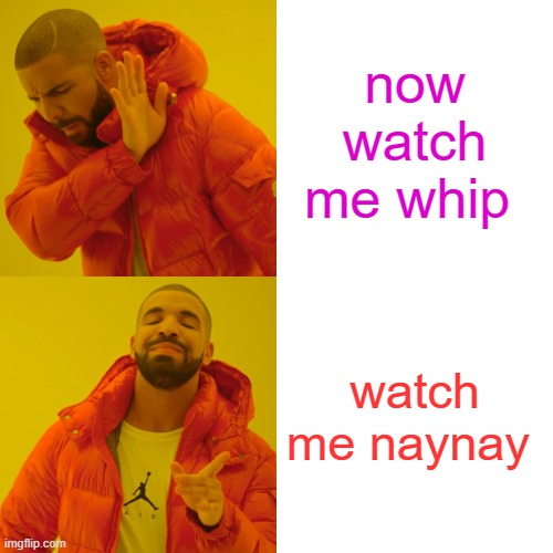 watch me whip | now watch me whip; watch me naynay | image tagged in memes,drake hotline bling | made w/ Imgflip meme maker