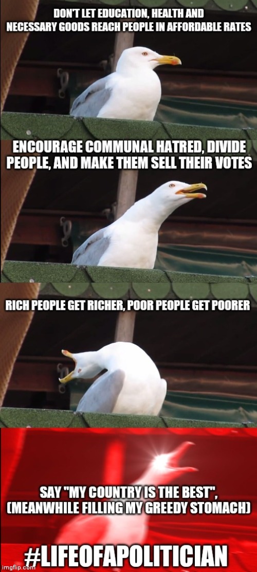 Life of a politician | image tagged in politicians suck | made w/ Imgflip meme maker