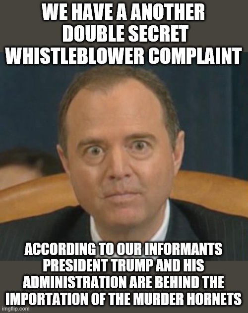 yep | WE HAVE A ANOTHER  DOUBLE SECRET WHISTLEBLOWER COMPLAINT; ACCORDING TO OUR INFORMANTS PRESIDENT TRUMP AND HIS ADMINISTRATION ARE BEHIND THE IMPORTATION OF THE MURDER HORNETS | image tagged in crazy adam schiff,democrats | made w/ Imgflip meme maker