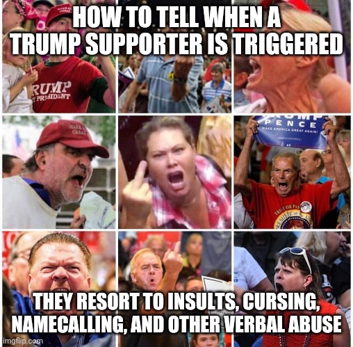 Typical behavior here on imgflip | HOW TO TELL WHEN A TRUMP SUPPORTER IS TRIGGERED; THEY RESORT TO INSULTS, CURSING, NAMECALLING, AND OTHER VERBAL ABUSE | image tagged in triggered trump supporters | made w/ Imgflip meme maker