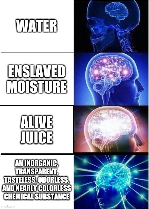 Liquid Ice | WATER; ENSLAVED MOISTURE; ALIVE JUICE; AN INORGANIC, TRANSPARENT, TASTELESS, ODORLESS, AND NEARLY COLORLESS CHEMICAL SUBSTANCE | image tagged in memes,expanding brain | made w/ Imgflip meme maker