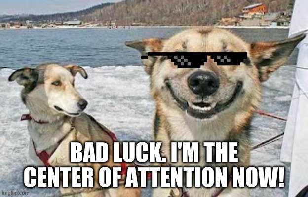 Original Stoner Dog | BAD LUCK. I'M THE CENTER OF ATTENTION NOW! | image tagged in memes,original stoner dog | made w/ Imgflip meme maker