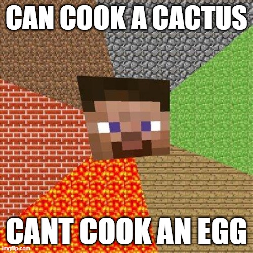 cant cook egg | CAN COOK A CACTUS; CANT COOK AN EGG | image tagged in minecraft steve | made w/ Imgflip meme maker