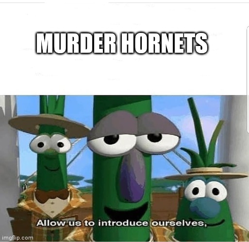 Allow us to introduce ourselves | MURDER HORNETS | image tagged in allow us to introduce ourselves | made w/ Imgflip meme maker