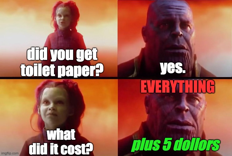thanos what did it cost | did you get toilet paper? yes. EVERYTHING; what did it cost? plus 5 dollors | image tagged in thanos what did it cost | made w/ Imgflip meme maker