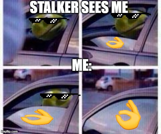 Kermit rolls up window | STALKER SEES ME; ME: | image tagged in kermit rolls up window | made w/ Imgflip meme maker