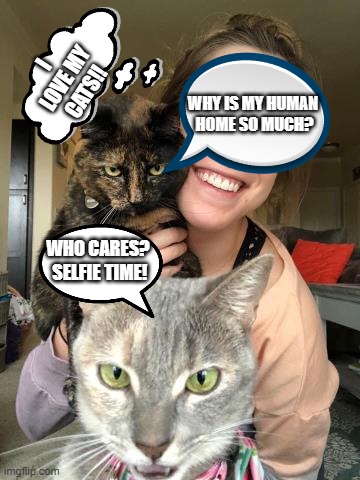 Quarantine Cat thoughts | I LOVE MY CATS!! WHY IS MY HUMAN 
HOME SO MUCH? WHO CARES?
 SELFIE TIME! | image tagged in cats,funny memes,quarantine | made w/ Imgflip meme maker