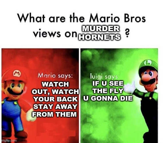 murder hornets | MURDER HORNETS; IF U SEE THE FLY U GONNA DIE; WATCH OUT, WATCH YOUR BACK STAY AWAY FROM THEM | image tagged in mario bros views | made w/ Imgflip meme maker