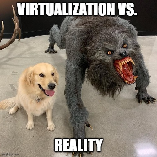Good dog scary dog | VIRTUALIZATION VS. REALITY | image tagged in good dog scary dog,vs,virtual reality | made w/ Imgflip meme maker