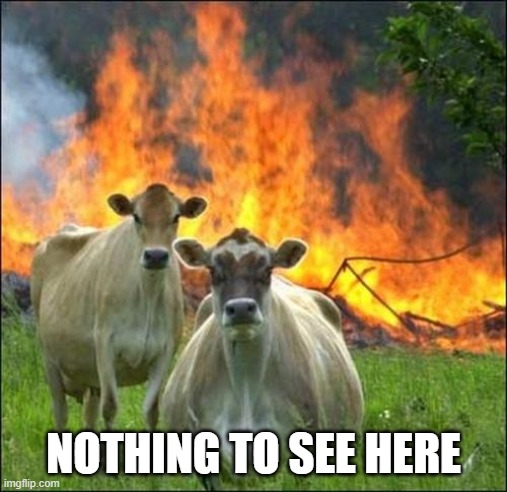 Evil Cows Meme | NOTHING TO SEE HERE | image tagged in memes,evil cows | made w/ Imgflip meme maker