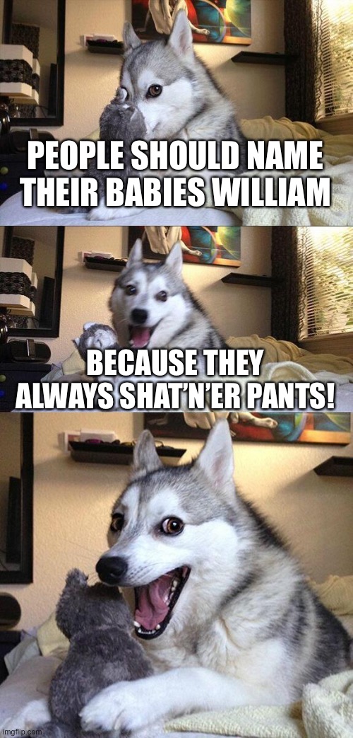 Bad Pun Dog Meme | PEOPLE SHOULD NAME THEIR BABIES WILLIAM; BECAUSE THEY ALWAYS SHAT’N’ER PANTS! | image tagged in memes,bad pun dog | made w/ Imgflip meme maker