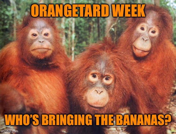 ORANGETARD WEEK WHO’S BRINGING THE BANANAS? | made w/ Imgflip meme maker