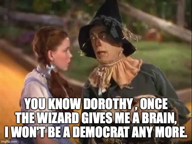 Scarecrow And Dorothy | YOU KNOW DOROTHY , ONCE THE WIZARD GIVES ME A BRAIN, I WON'T BE A DEMOCRAT ANY MORE. | image tagged in scarecrow and dorothy | made w/ Imgflip meme maker