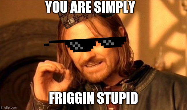 One Does Not Simply Meme | YOU ARE SIMPLY FRIGGIN STUPID | image tagged in memes,one does not simply | made w/ Imgflip meme maker