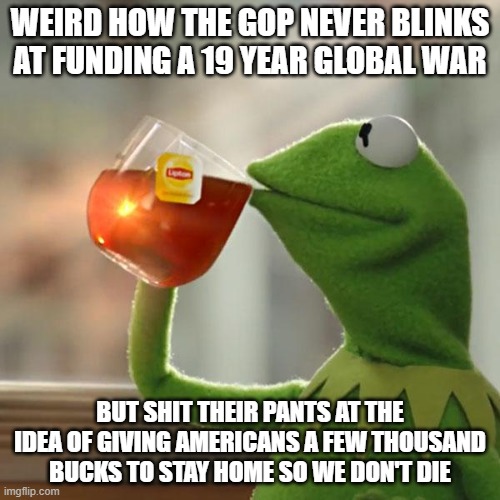 But That's None Of My Business | WEIRD HOW THE GOP NEVER BLINKS AT FUNDING A 19 YEAR GLOBAL WAR; BUT SHIT THEIR PANTS AT THE IDEA OF GIVING AMERICANS A FEW THOUSAND BUCKS TO STAY HOME SO WE DON'T DIE | image tagged in memes,but that's none of my business,kermit the frog | made w/ Imgflip meme maker