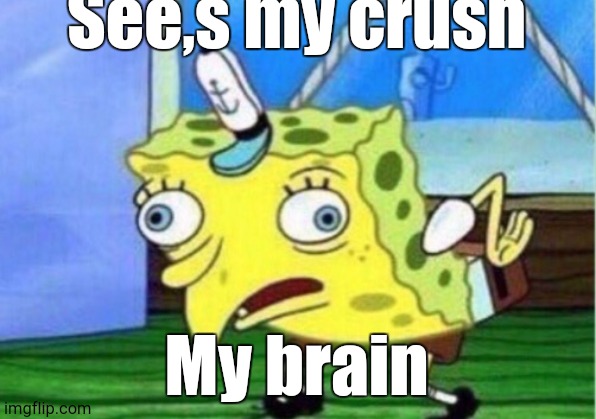 Mocking Spongebob Meme | See,s my crush; My brain | image tagged in memes,mocking spongebob | made w/ Imgflip meme maker