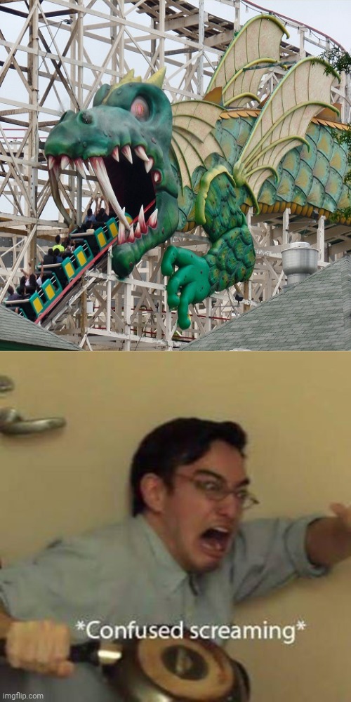 The moment when you see a roller coaster like this | image tagged in confused screaming,funny,rollercoaster,roller coaster,memes,meme | made w/ Imgflip meme maker