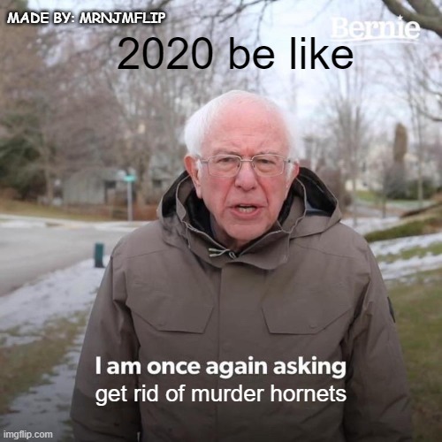Bernie asks to get rid of murder hornets | 2020 be like; MADE BY: MRNJMFLIP; get rid of murder hornets | image tagged in memes,normal,mrnjmflipmemeclub | made w/ Imgflip meme maker