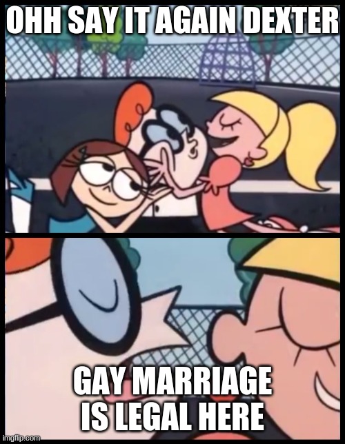 Say it Again, Dexter Meme | OHH SAY IT AGAIN DEXTER; GAY MARRIAGE IS LEGAL HERE | image tagged in memes,say it again dexter | made w/ Imgflip meme maker