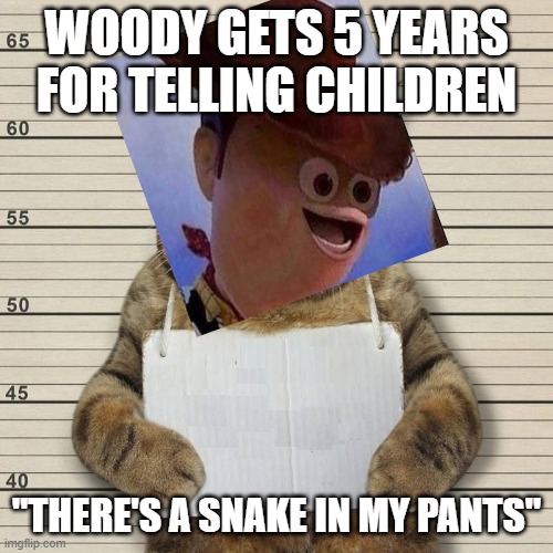 #free woody | WOODY GETS 5 YEARS FOR TELLING CHILDREN; "THERE'S A SNAKE IN MY PANTS" | image tagged in guilty cat mug shot blank | made w/ Imgflip meme maker