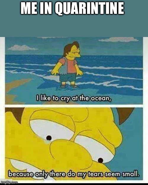 ME IN QUARINTINE | image tagged in i like to cry at the ocean | made w/ Imgflip meme maker