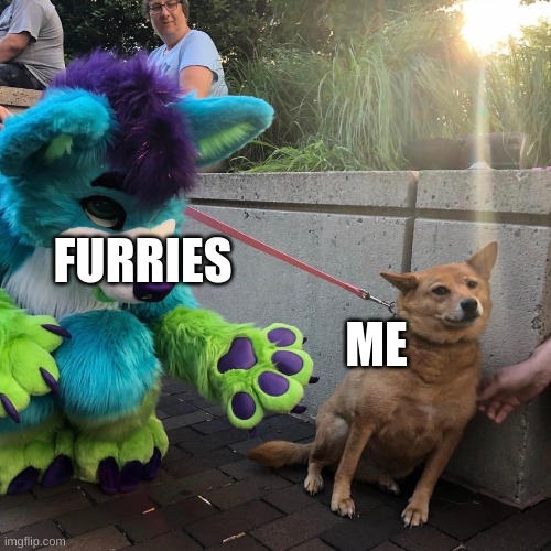 Dog afraid of furry | FURRIES; ME | image tagged in dog afraid of furry | made w/ Imgflip meme maker