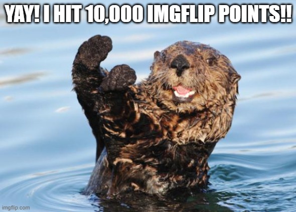 otter celebration | YAY! I HIT 10,000 IMGFLIP POINTS!! | image tagged in otter celebration,10000 imgflip points | made w/ Imgflip meme maker