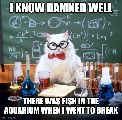 Chemistry Cat Meme | I KNOW DAMNED WELL; THERE WAS FISH IN THE AQUARIUM WHEN I WENT TO BREAK | image tagged in memes,chemistry cat | made w/ Imgflip meme maker