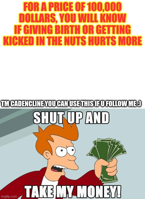 true | FOR A PRICE OF 100,000 DOLLARS, YOU WILL KNOW IF GIVING BIRTH OR GETTING KICKED IN THE NUTS HURTS MORE; TM CADENCLINE YOU CAN USE THIS IF U FOLLOW ME :) | image tagged in blank white template | made w/ Imgflip meme maker