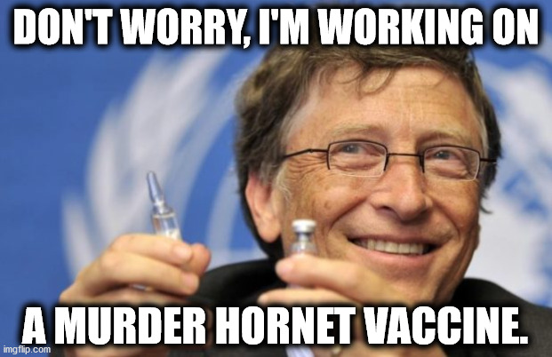 Bill Gates loves Vaccines | DON'T WORRY, I'M WORKING ON; A MURDER HORNET VACCINE. | image tagged in bill gates loves vaccines,bill gates,murder hornets,vaccines,democrats | made w/ Imgflip meme maker