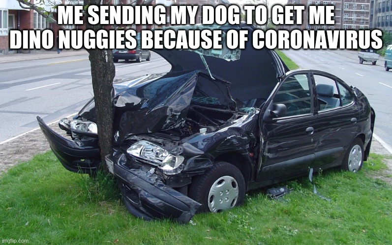 car crash dog | ME SENDING MY DOG TO GET ME DINO NUGGIES BECAUSE OF CORONAVIRUS | image tagged in dogs | made w/ Imgflip meme maker