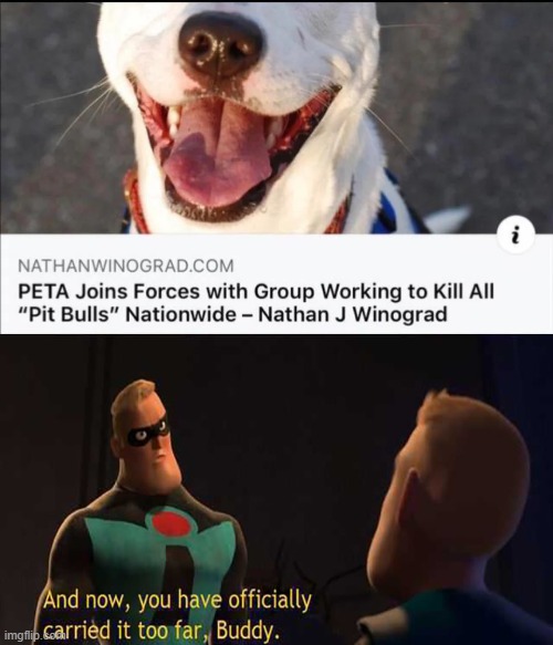 This is awful | image tagged in and now you have officially gone too far buddy,memes,peta,dogs,the incredibles | made w/ Imgflip meme maker