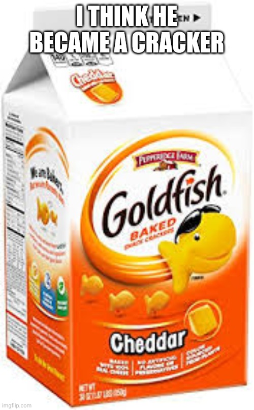 goldfish crackers | I THINK HE BECAME A CRACKER | image tagged in goldfish crackers | made w/ Imgflip meme maker