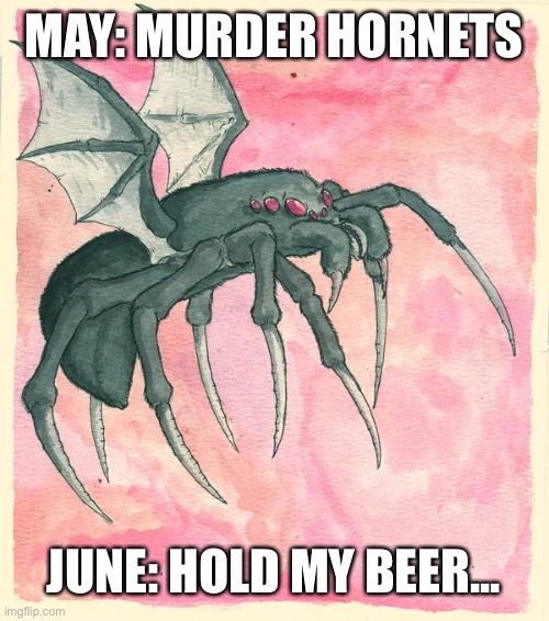 May? June. | MAY: MURDER HORNETS; JUNE: HOLD MY BEER... | image tagged in flight spider | made w/ Imgflip meme maker