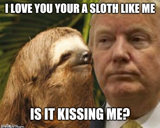 Political advice sloth | I LOVE YOU YOUR A SLOTH LIKE ME; IS IT KISSING ME? | image tagged in political advice sloth | made w/ Imgflip meme maker