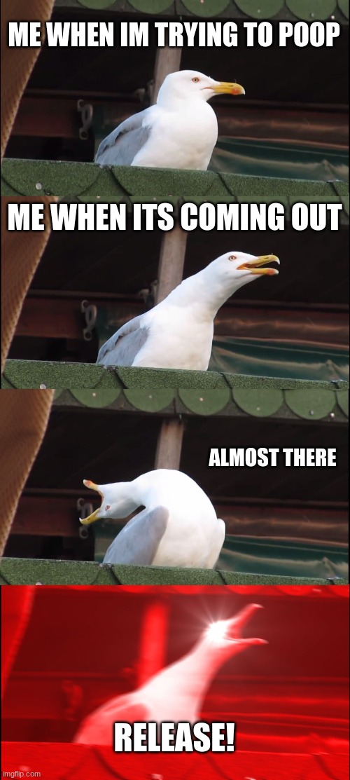 poop | ME WHEN IM TRYING TO POOP; ME WHEN ITS COMING OUT; ALMOST THERE; RELEASE! | image tagged in memes,inhaling seagull | made w/ Imgflip meme maker