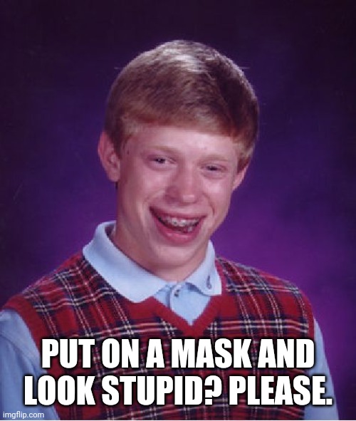 Image is everything. | PUT ON A MASK AND LOOK STUPID? PLEASE. | image tagged in memes,bad luck brian,quarantine,masks,coronavirus,covid-19 | made w/ Imgflip meme maker