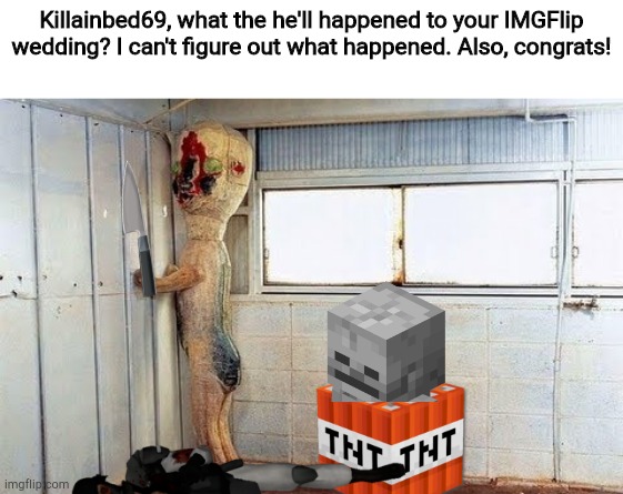 I just wanna know what on earth happened. | Killainbed69, what the he'll happened to your IMGFlip wedding? I can't figure out what happened. Also, congrats! | image tagged in original scp-173 | made w/ Imgflip meme maker