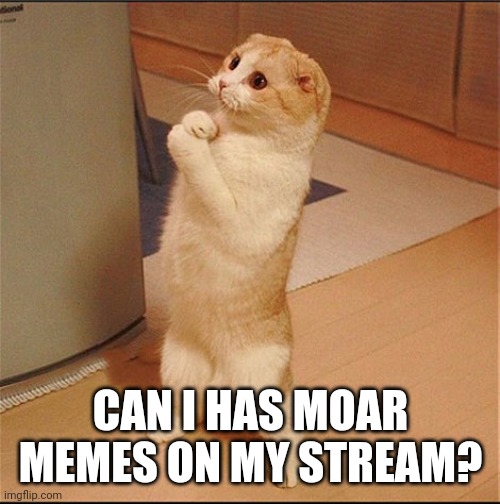 Can I Has Food | CAN I HAS MOAR MEMES ON MY STREAM? | image tagged in can i has food | made w/ Imgflip meme maker