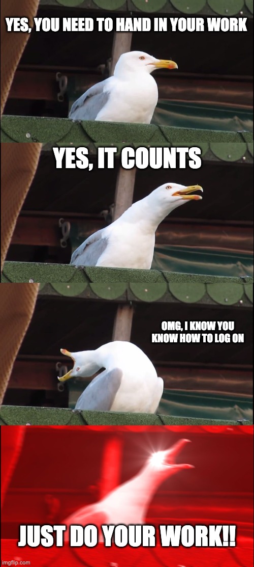 Inhaling Seagull Meme | YES, YOU NEED TO HAND IN YOUR WORK; YES, IT COUNTS; OMG, I KNOW YOU KNOW HOW TO LOG ON; JUST DO YOUR WORK!! | image tagged in memes,inhaling seagull | made w/ Imgflip meme maker