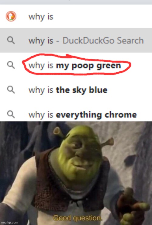 Good Question | image tagged in shrek good question,poop,funny,memes,meme | made w/ Imgflip meme maker
