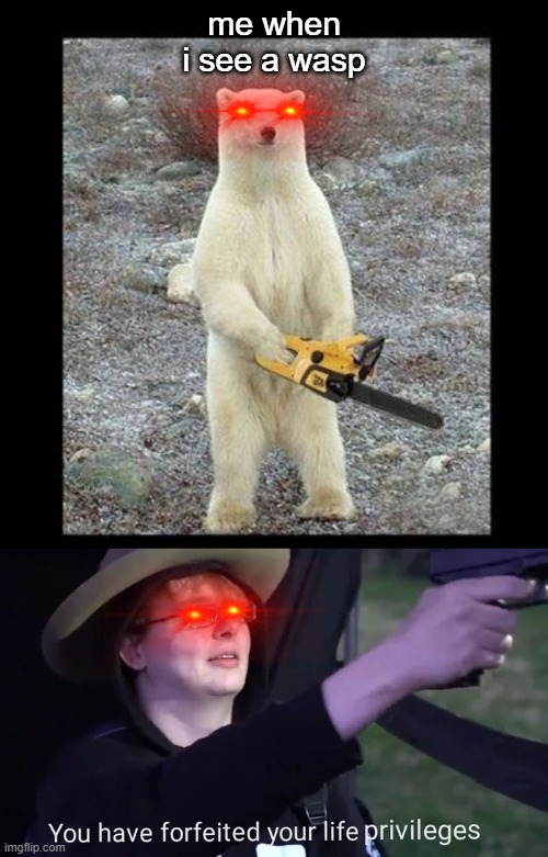 wasp | me when i see a wasp | image tagged in memes,chainsaw bear | made w/ Imgflip meme maker