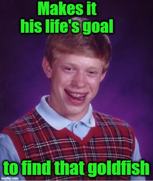 Bad Luck Brian Meme | Makes it his life's goal to find that goldfish | image tagged in memes,bad luck brian | made w/ Imgflip meme maker