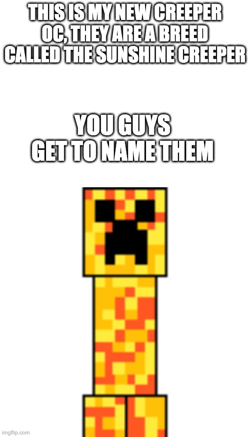 Sunshine creeper | THIS IS MY NEW CREEPER OC, THEY ARE A BREED CALLED THE SUNSHINE CREEPER; YOU GUYS GET TO NAME THEM | image tagged in blank white template | made w/ Imgflip meme maker
