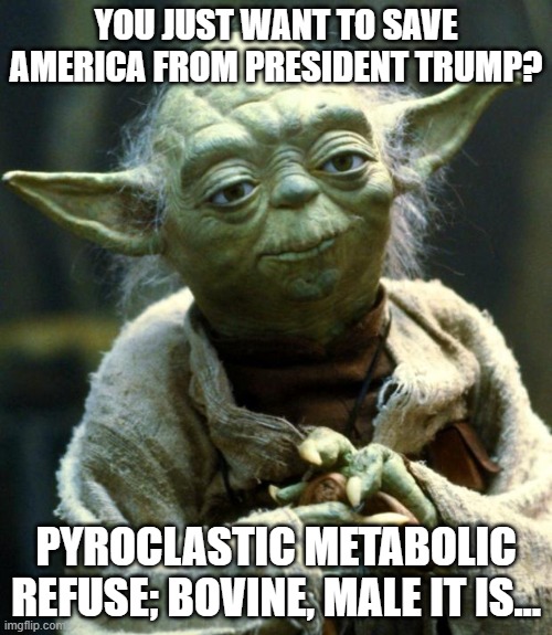 Star Wars Yoda | YOU JUST WANT TO SAVE AMERICA FROM PRESIDENT TRUMP? PYROCLASTIC METABOLIC REFUSE; BOVINE, MALE IT IS... | image tagged in memes,star wars yoda | made w/ Imgflip meme maker