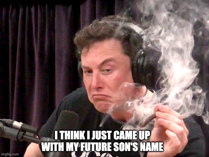 Elon Musk Weed | I THINK I JUST CAME UP WITH MY FUTURE SON'S NAME | image tagged in elon musk weed | made w/ Imgflip meme maker