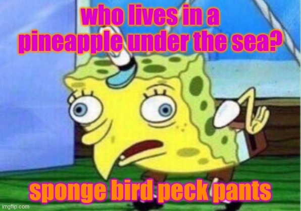 Sponge Bird | who lives in a pineapple under the sea? sponge bird peck pants | image tagged in memes,mocking spongebob | made w/ Imgflip meme maker